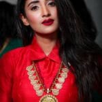 Portrait of a young woman in traditional attire with elegant jewelry and a confident pose.