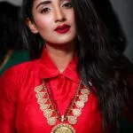 Portrait of a young woman in traditional attire with elegant jewelry and a confident pose.